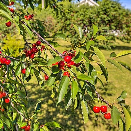 Finger Lakes Farm Retreat Walk To Wineries! Hector المظهر الخارجي الصورة