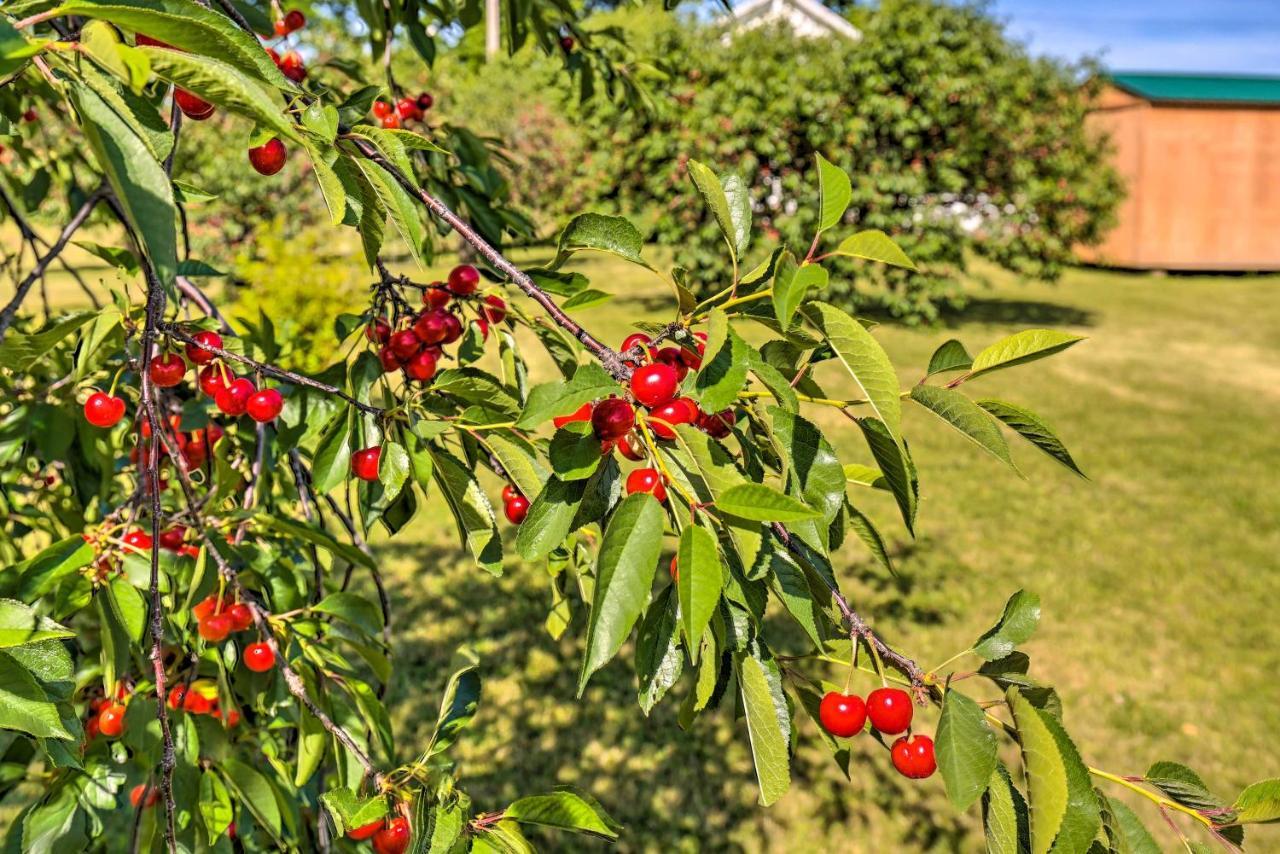 Finger Lakes Farm Retreat Walk To Wineries! Hector المظهر الخارجي الصورة
