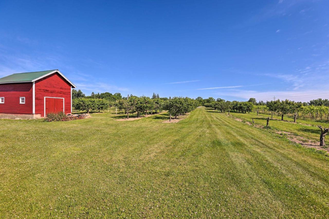Finger Lakes Farm Retreat Walk To Wineries! Hector المظهر الخارجي الصورة