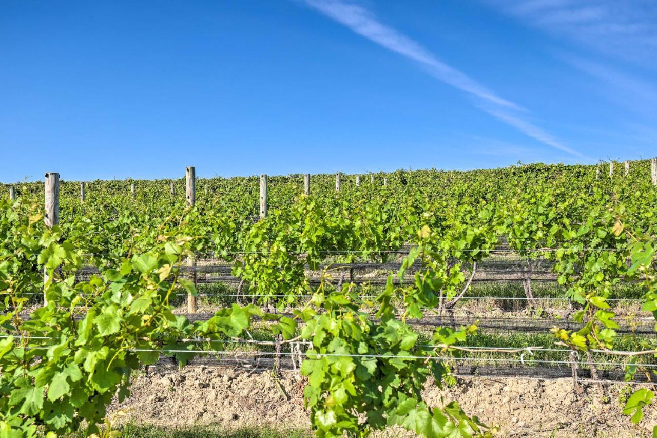 Finger Lakes Farm Retreat Walk To Wineries! Hector المظهر الخارجي الصورة