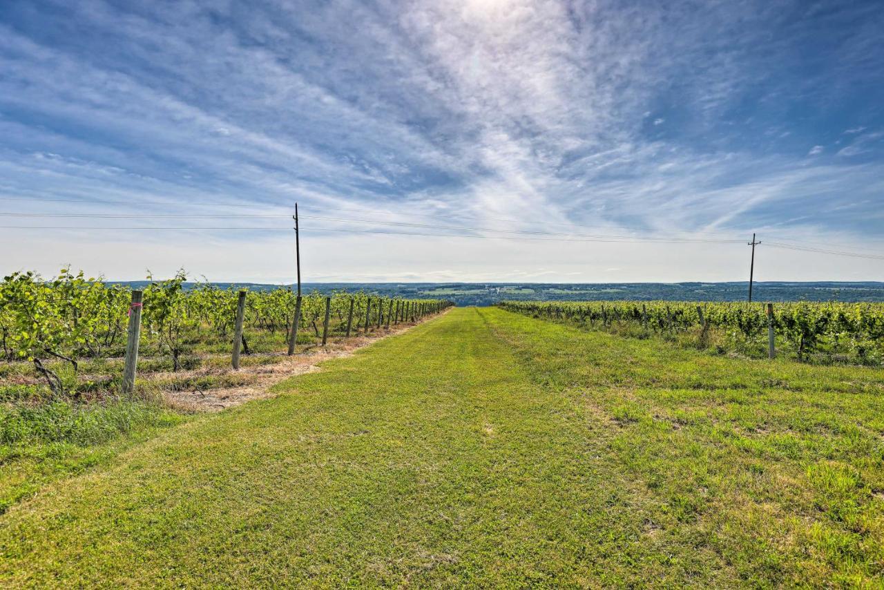 Finger Lakes Farm Retreat Walk To Wineries! Hector المظهر الخارجي الصورة